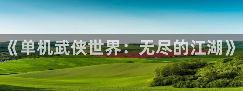 《单机武侠世界：无尽的江湖》