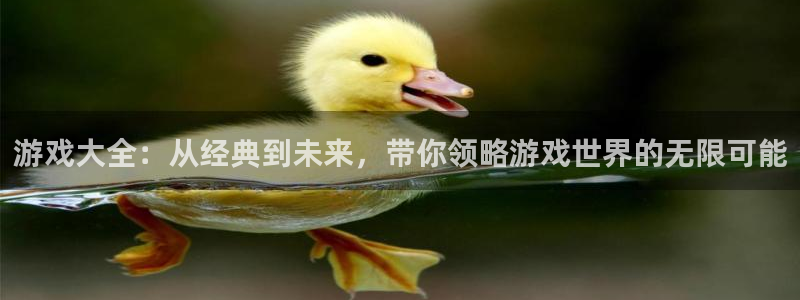  游戏大全：从经典到未来，带你领略游戏世界的无限可能