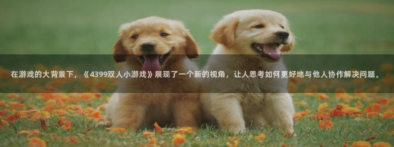 在游戏的大背景下，《4399双人小游戏》展现了一个新的视角，