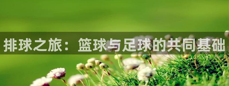  排球之旅：篮球与足球的共同基础