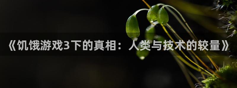  《饥饿游戏3下的真相：人类与技术的较量》