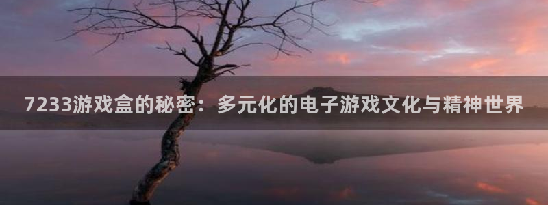 威廉希尔平台怎么样：7233游戏盒的秘密：多元化的电子游戏文