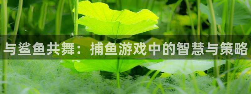 威廉希尔立博：与鲨鱼共舞：捕鱼游戏中的智慧与策略