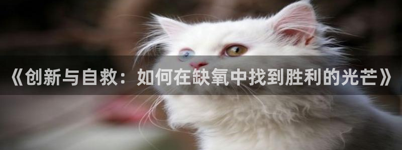  威廉希尔初赔：《创新与自救：如何在缺氧中找到胜利的光芒》